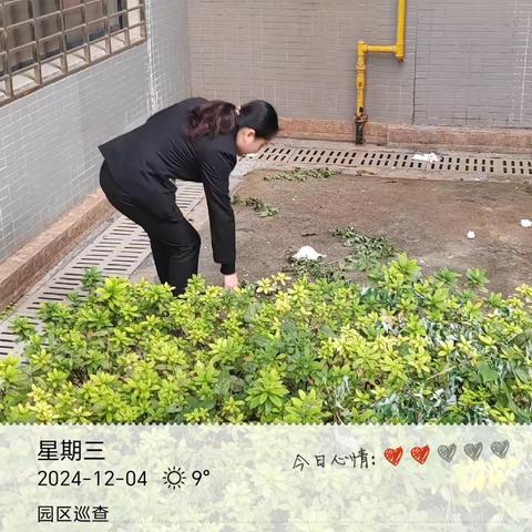 物业十二月工作简报