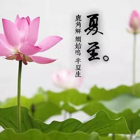 二十四节气之夏至——济钢附设园夏至主题活动