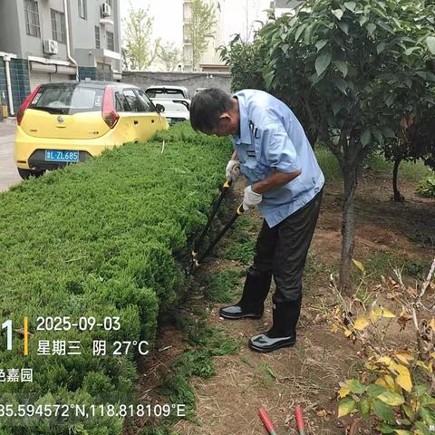 守护绿色家园，共建美好社区
