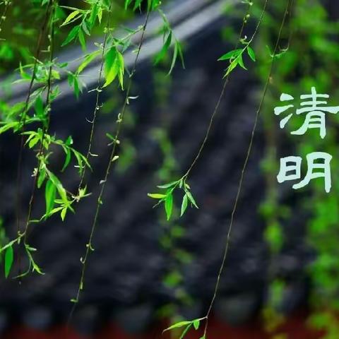 【金晶·德育】“缅怀革命先烈   传承红色基因”——灵武市第六小学“我们的节日·清明节”烈士陵园祭扫活动