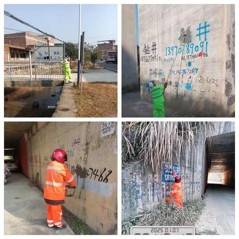 净村祛“癣” 共筑美丽乡村