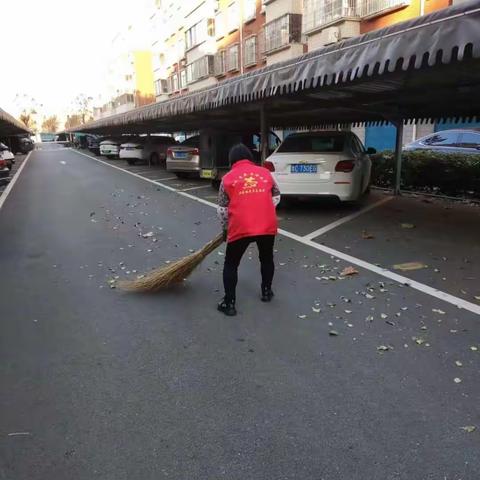 清理小区树木落叶，保证辖区环境整洁