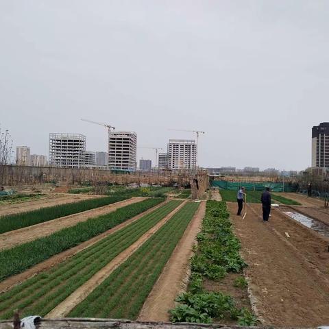 对开荒地，小区院落进行禁种罂粟排查