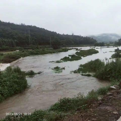 开展暴雨防汛巡查工作