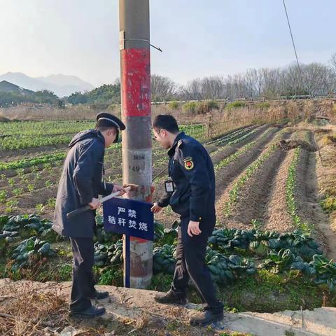 高楼中队“秸”“禁”全力做好秸秆禁烧工作