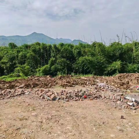 以案释法：建筑垃圾乱倾倒‘零容忍’