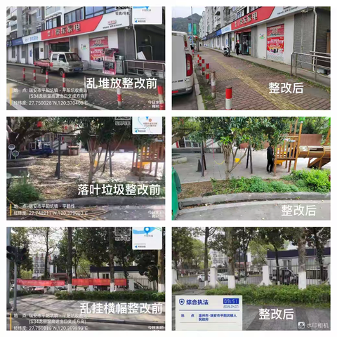 高楼中队开展园博会分会场沿线环境整治