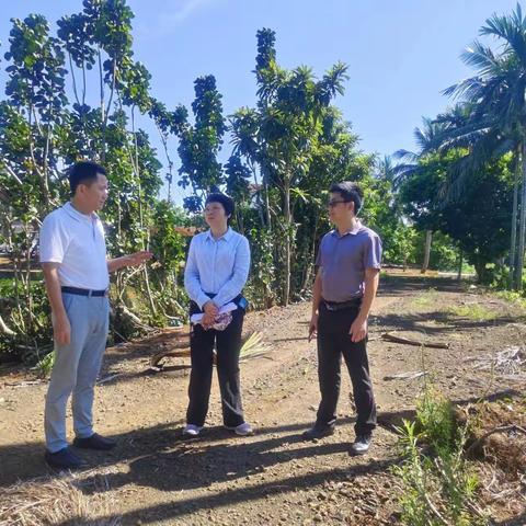 蔡爱丹副秘书长受韩运发副市长委托到演丰东河、新民林场巡查调研督导