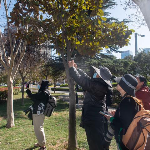 老干部大学摄影系二年级二班外拍纪实