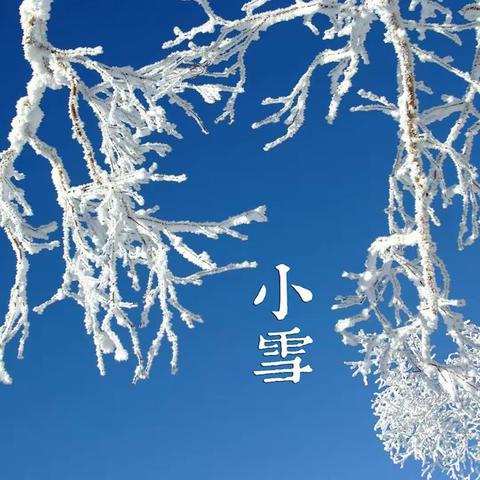 *迎节气 知小雪* 侯边庄小学附属幼儿园 主题活动