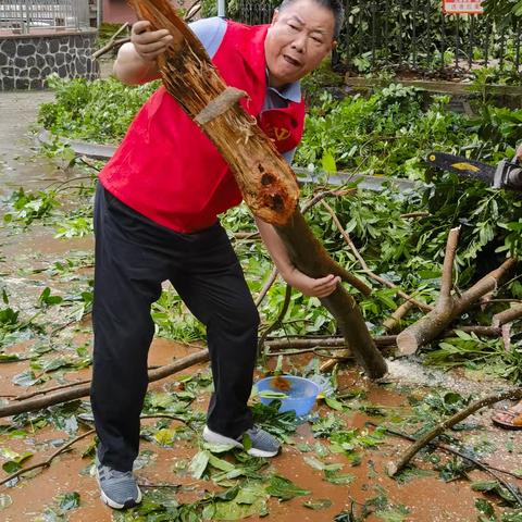 超强台风过境  海口市市监局党员干部立即投身于自救恢复生活秩序