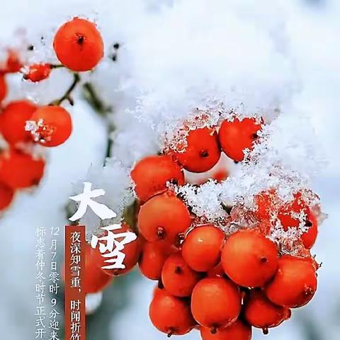 知节气，迎大雪——临河二小幼儿园二十四节气之“大雪”活动