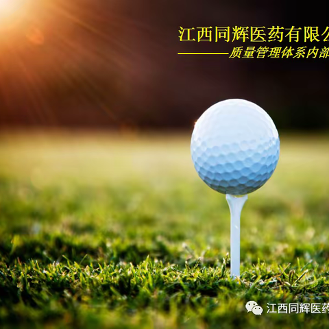 同辉医药质量管理体系内部考核