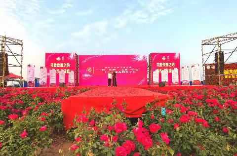 定陶区黄店镇：打造品牌矩阵 推动党建工作提质增效