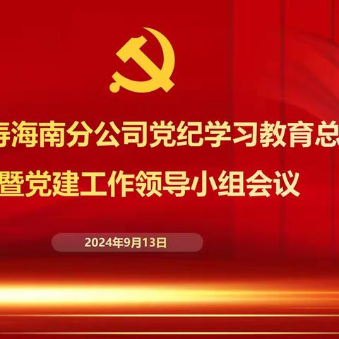 太平人寿海南分公司召开党纪学习教育总结会暨﻿党建 ﻿工作领导小组会议