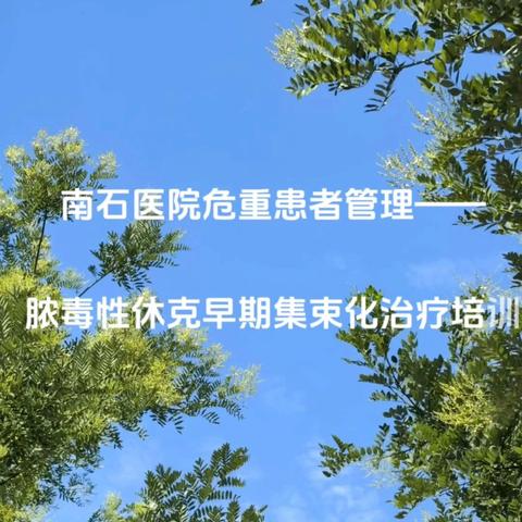 南阳南石医院脓毒性休克早期集束化治疗培训