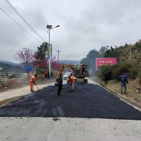 【安全保畅通】清流县交通运输局：整治道路隐患   助力一路繁花