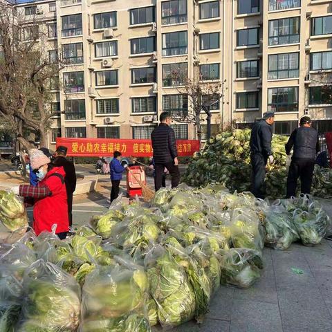 爱心白菜送上门，暖冬行动传温情