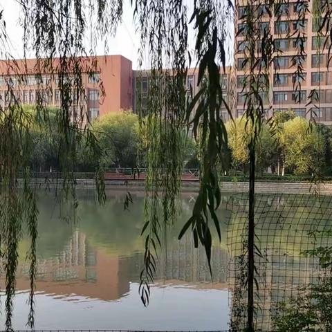专家引领促发展，培训赋能助成长