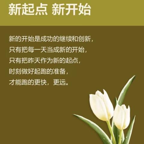 凝心聚力乘风起，携手并肩踏浪行