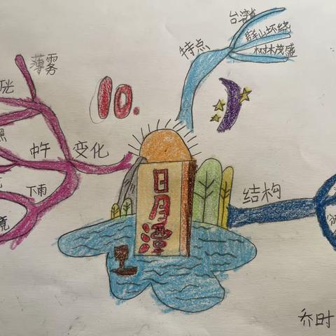 屯庄小学二年级“思维导图”活动特辑