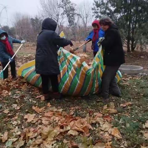 落叶纷飞季，园林清扫忙