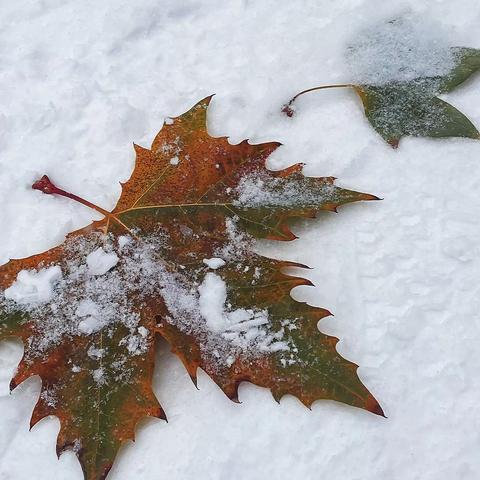 雪景，美～劳动者，更美～