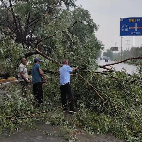 暴雨中的坚守与奉献