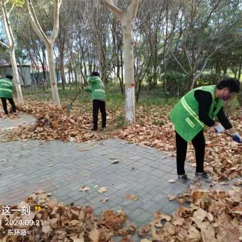 打好绿地清理攻坚战， 美化景观环境除隐患