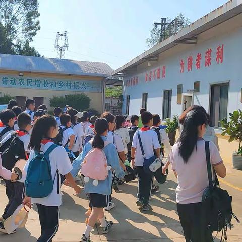 体验农耕乐趣 感悟劳动之美——东城小学校外劳动基地纪实（副本）