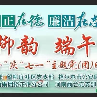 “粽香飘柳韵   端午话新风”主题党（团）日系列活动