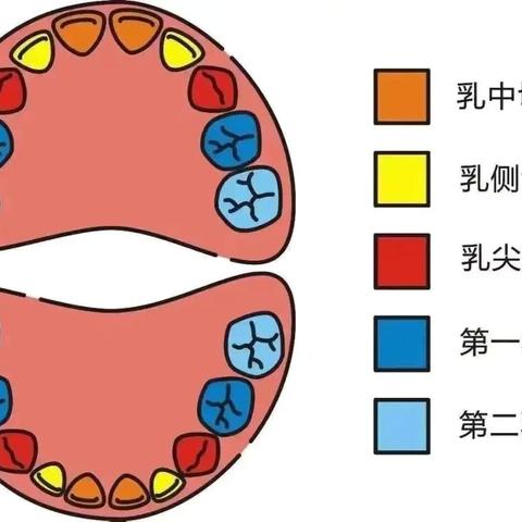 微笑绽放，如“齿”闪亮 ﻿——爱牙日宣传