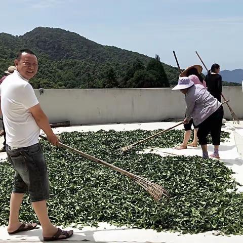 茶缘