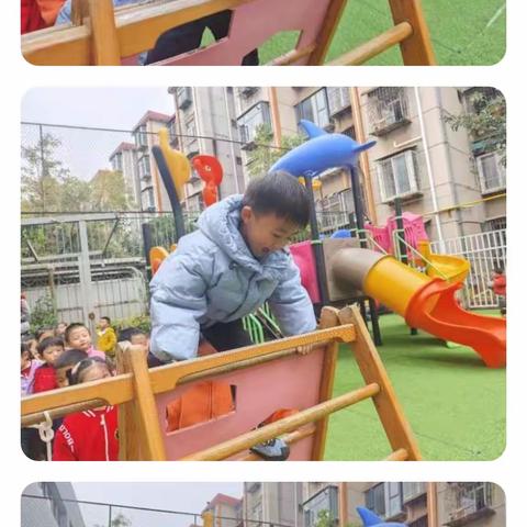 卓雅幼儿园中一班1月2—5一周回顾