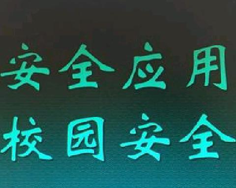 2024阳新县 中小学校园安全应对能力提升培训