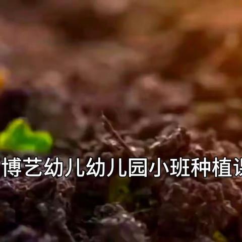 博艺幼儿园小班～自然教育课程:种“蒜”你可爱🌱