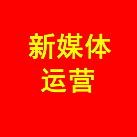 新媒体运营项目介绍（副本）