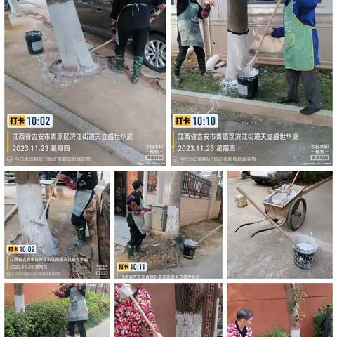 盛世华庭彩虹苑小区11月份第3周工作江报