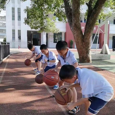 神仙岭小学二年级篮球训练记录瞬间