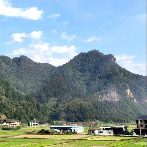 秋风萧瑟天渐凉 浅浅时光勤学忙——中寨镇中心小学第七周值周总结