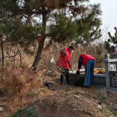 青山前村开展收拾墓地卫生志愿服务活动