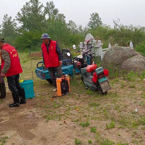 青山前村开展为墓地打除草剂志愿服务