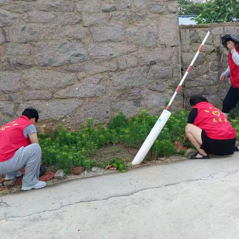 青山前村：七一建党节党员清扫卫生活动