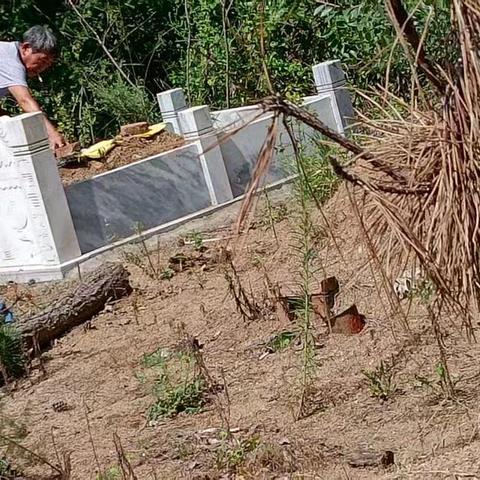 为了墓地环境的整洁，中元节过后志愿者在墓地清理卫生。