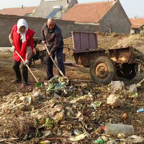 乡村志愿红：用行动点亮振兴之路