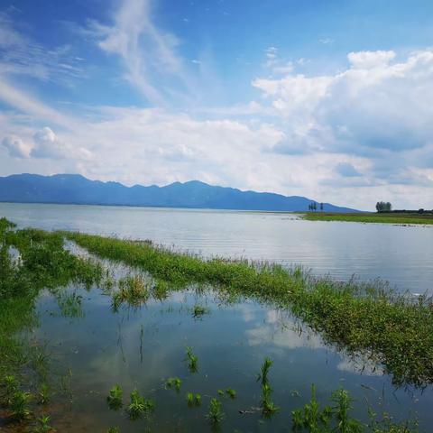 雨后的板桥水库蓝天碧好一派夏季风光