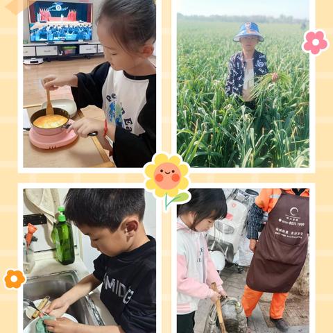 【民富】劳动润成长，奋进新时代——民富园小学劳动节