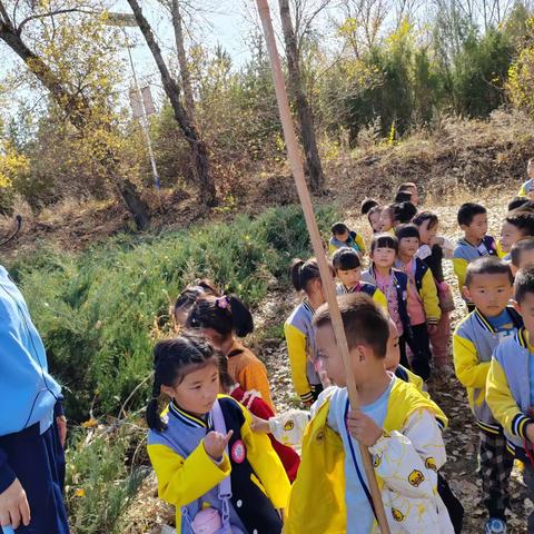 ⭐星启幼儿园——自然🍂课堂「拔萝卜🥕记」