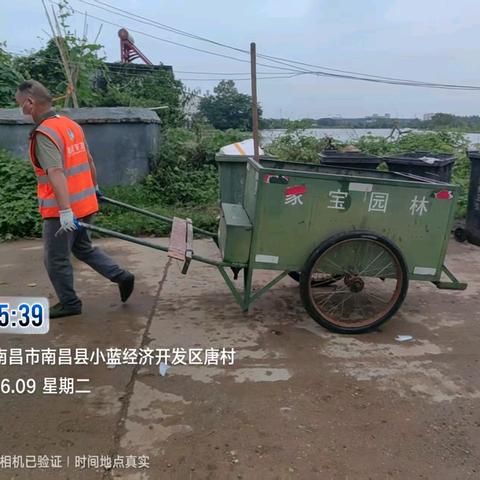 沐雨攻坚金湖保洁，全域整治刷新人居环境