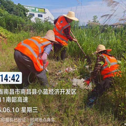 金湖突击队攻坚 城乡洁净展新篇